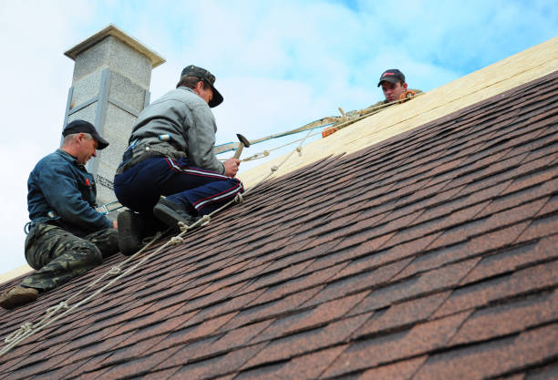 Quick and Trustworthy Emergency Roof Repair Services in Salida, CO
